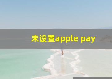 未设置apple pay